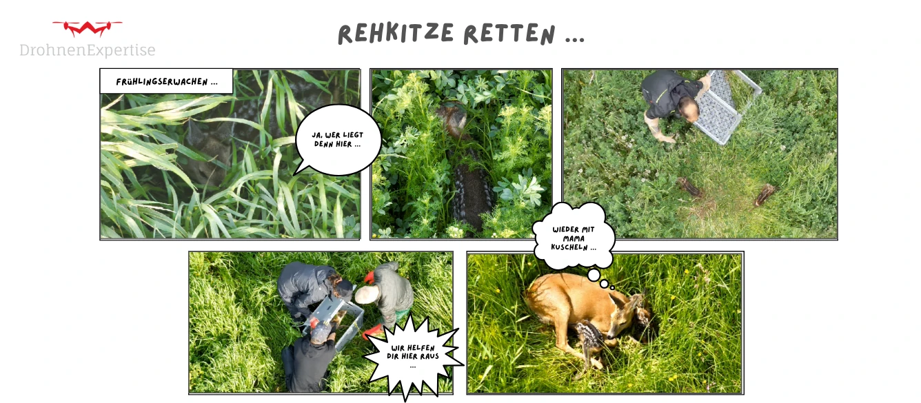 Rehkitz-Rettung mit der Drohne als Comic